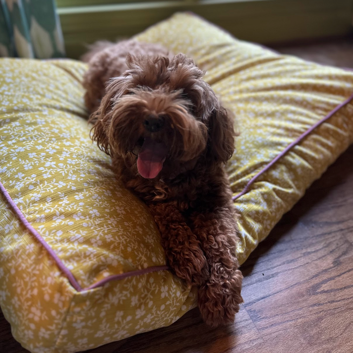 Exclusively for WWH - Iva Check in Admiral & Beige Dog Bed