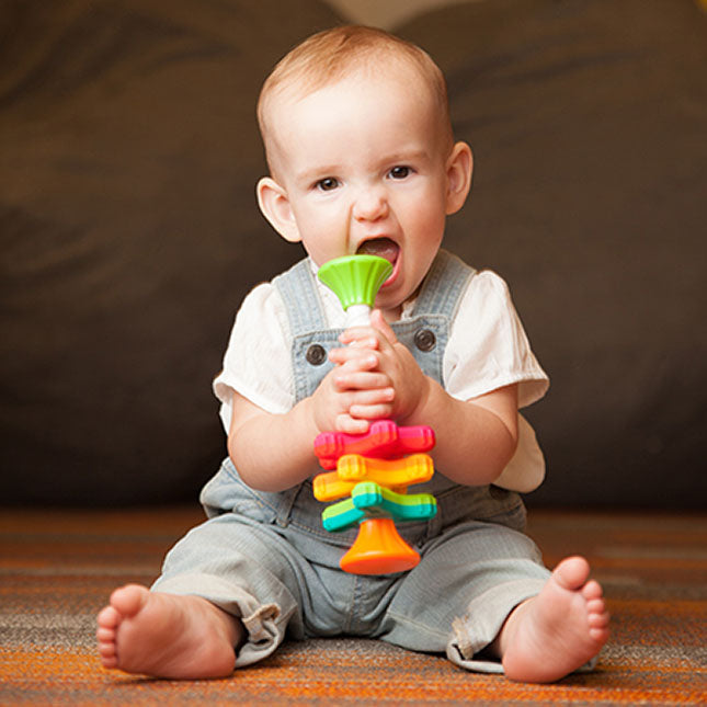 Fat Brain MiniSpinny