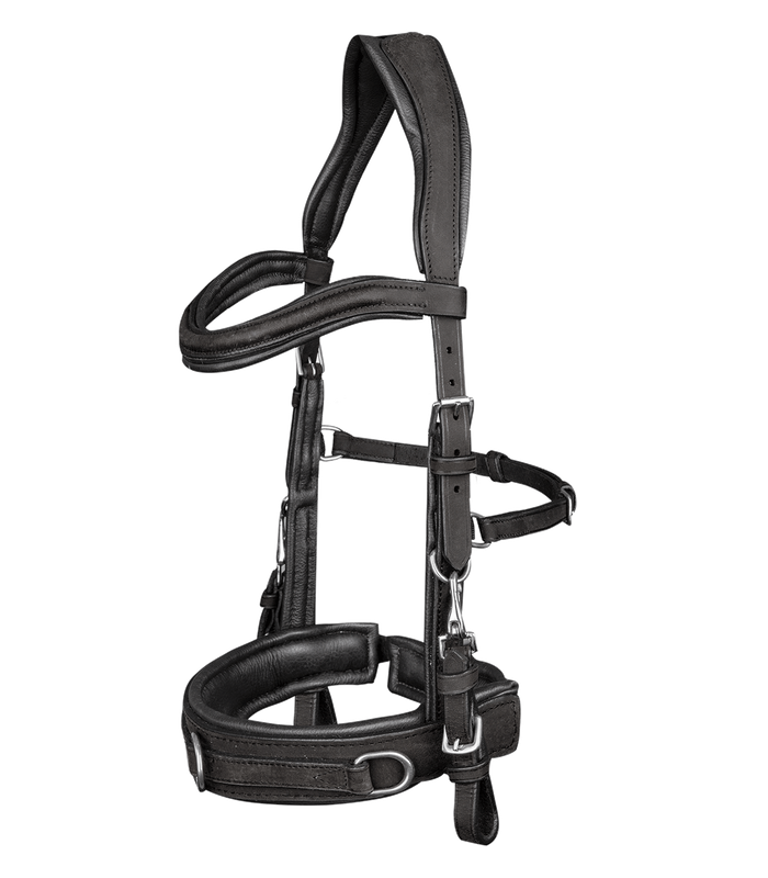 Waldhausen Anatomic Leather Lunge Cavesson