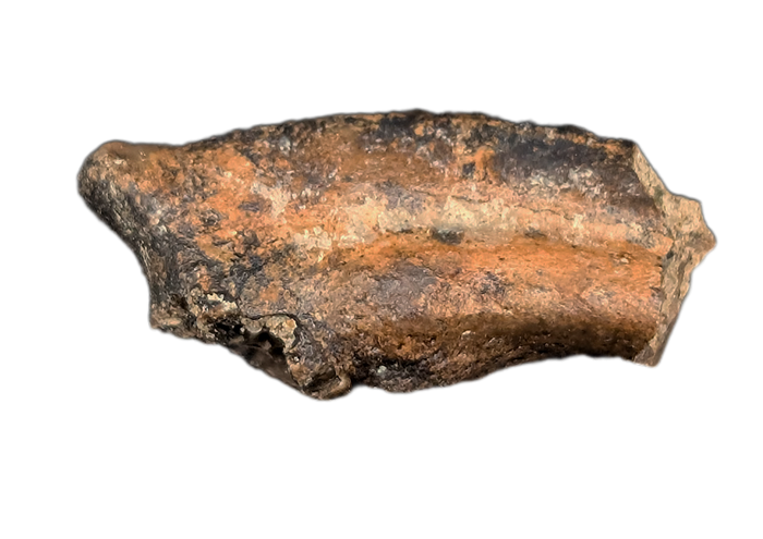 Anzu Foot Claw, Hell Creek Formation
