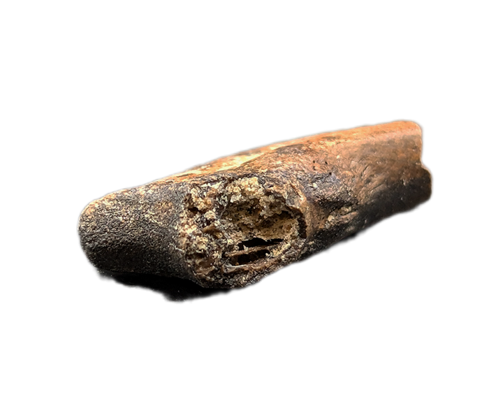 Anzu Foot Claw, Hell Creek Formation