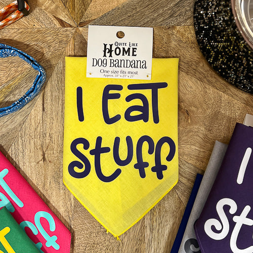 Blue Eat Stuff Dog Bandana