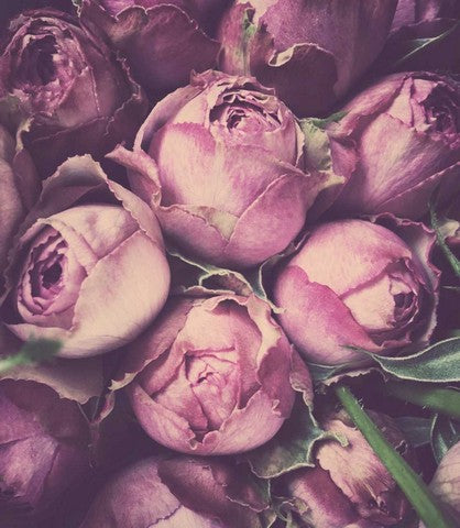 Flower image | Karen Tonna | Print Decor