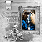 Collect the entire series of Curated Colors by Lucky Girl Creative digital art! Access your digital art in easy-to-use coordinated color palettes. Add these silver embellishments, textured and wood papers, alpha set, and everyday wire word art to all your digital scrapbooking pages and mix-and-match them on various projects throughout the year! Silver embellishments include fish, dog, puppy, futuristic automobile, car, heart balloon, star balloons, banner, pennant, basket, eye dropper, bow tie, and more.