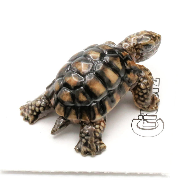 Desert tortoise porcelain miniature on a white background.