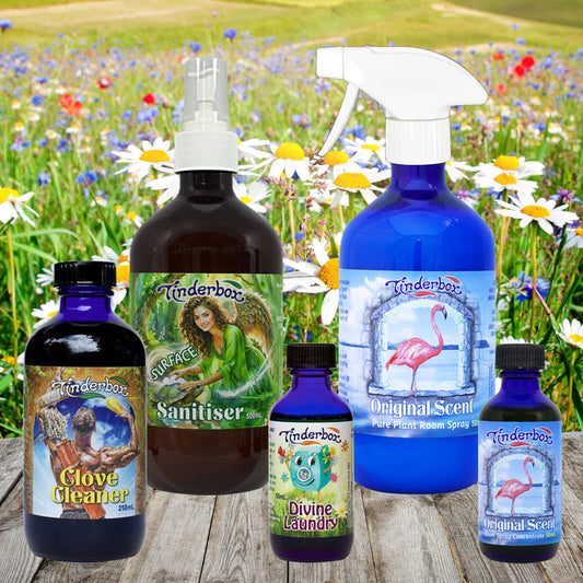 Divine Domesticity Gift Box