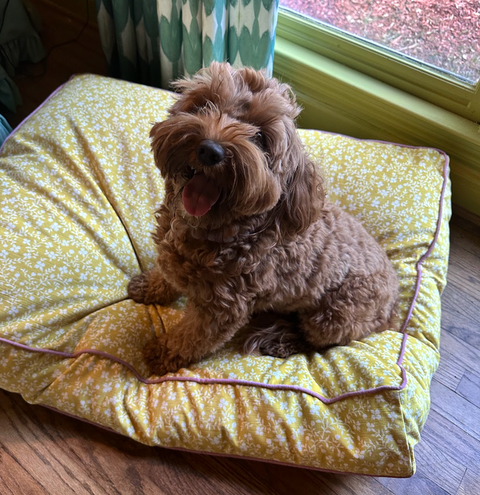 Exclusively for WWH - Audrey in Pluff Reverse Dog Bed