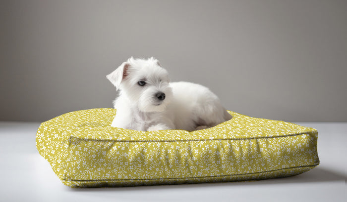 Wheaton Whaley Exclusive Dog Bed