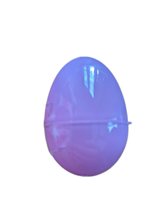 Fossil Mystery Egg