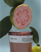 Guava Soda Scented Candle