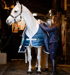 Horseware Eco Liner 400g