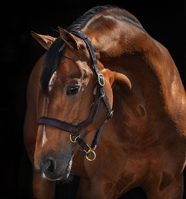 Horseware Rambo Micklem Halter