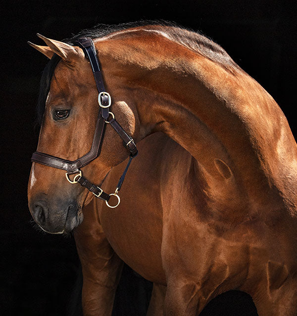 Horseware Rambo Micklem Halter