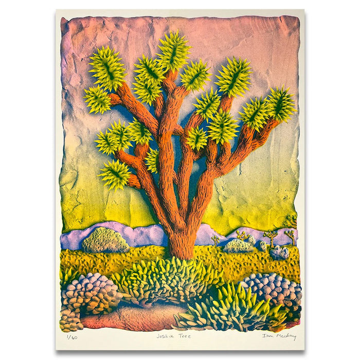 (Ian MacKay) Colorful Joshua Tree Print 18x24