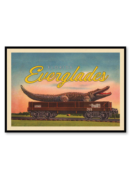 Later Alligator, Everglades, Poster