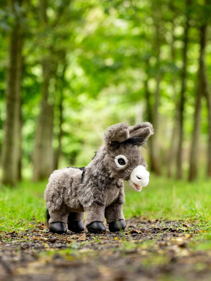 Daphne / Donkey