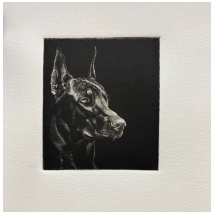 (Matthew Aceves) Doberman