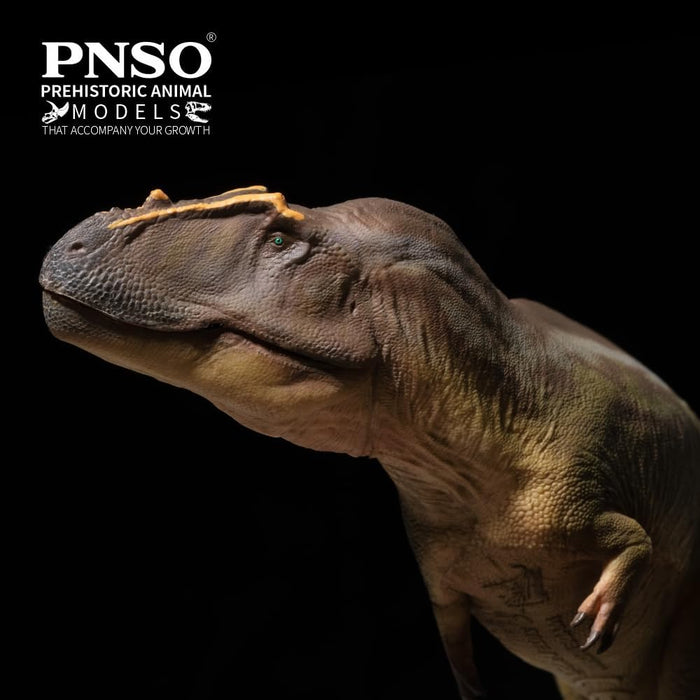 Mayer the Tameryraptor, PNSO