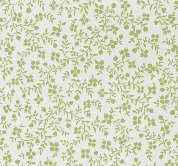 Yard / Eloise & Daffodil
