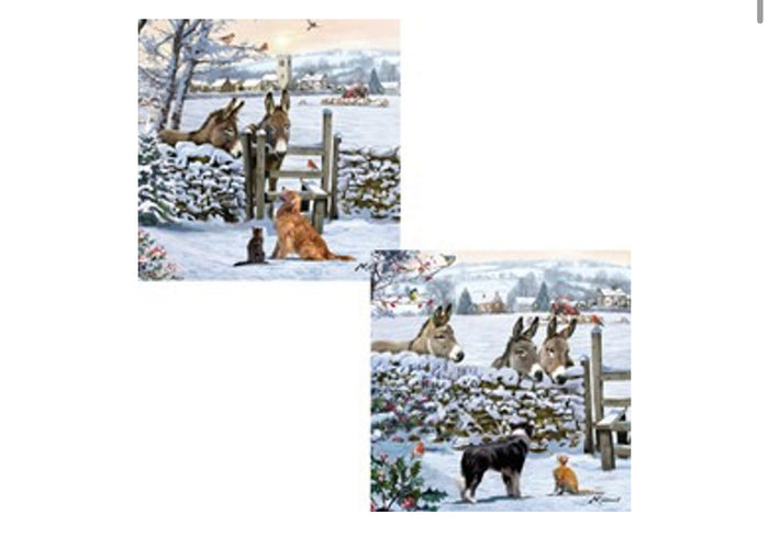 Donkey Encounter / 10 Pack