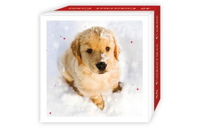 Christmas Pups / 40 Pack