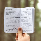 Open travel journal pages with handwritten notes and a mountain sketch, set against a forest backdrop.