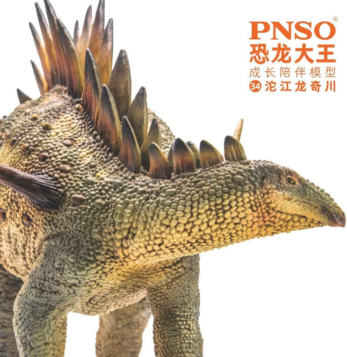 Qichuan the Tuojiangosaurus, PNSO