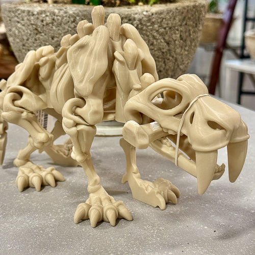 Sabertooth Skeleton
