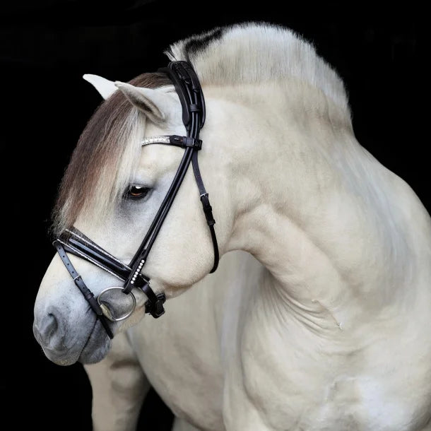 SD Designs Rolled Crystal Rock Noseband