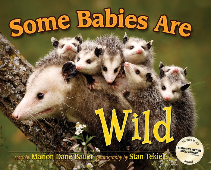 Some Babies Are Wild book cover with several baby opossums perched on a tree branch.