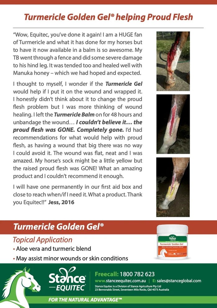 Stance Equine Turmericle Golden Gel