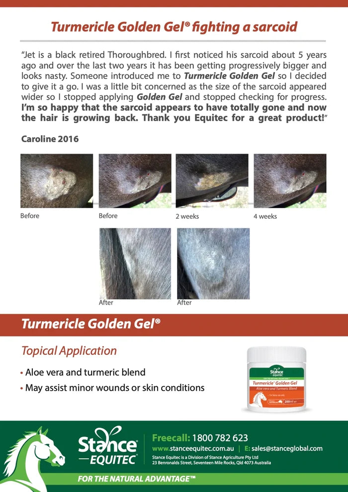 Stance Equine Turmericle Golden Gel