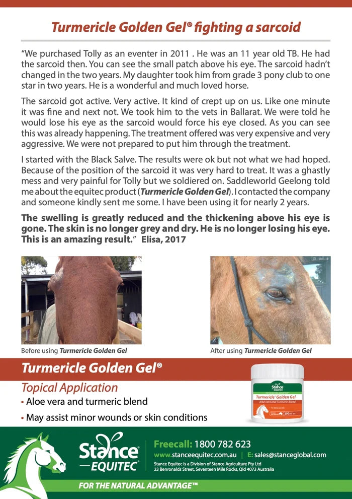 Stance Equine Turmericle Golden Gel