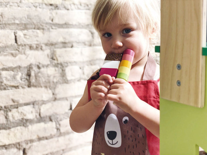 Tender Leaf Toys Ice Lolly Shop