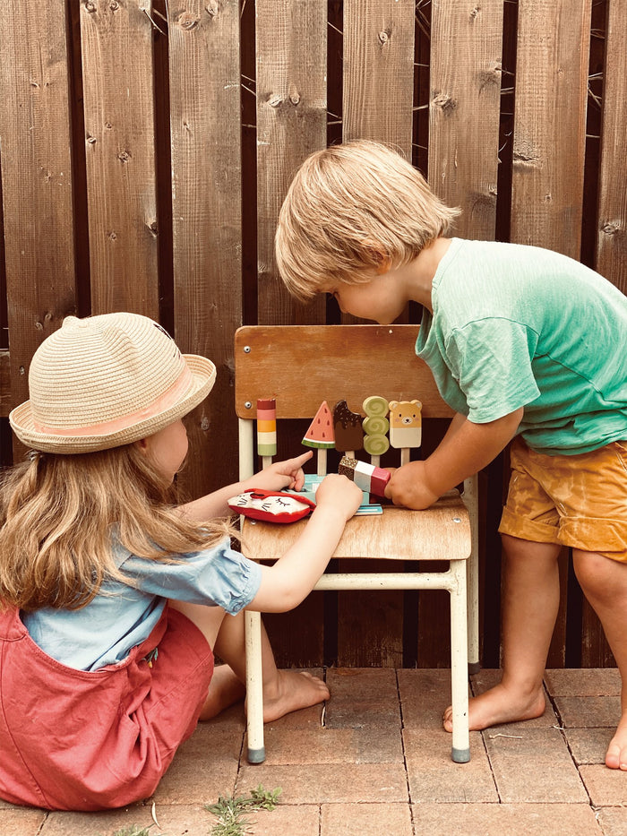 Tender Leaf Toys Ice Lolly Shop