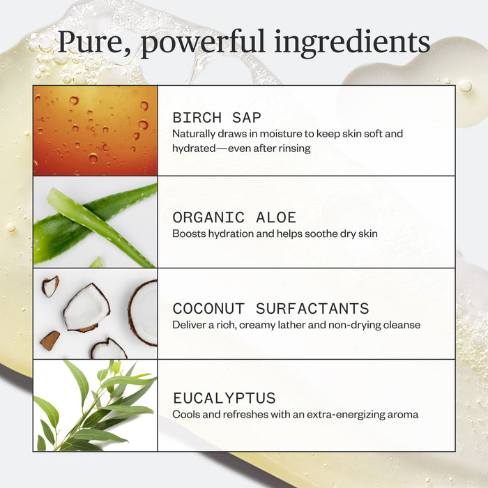 Ursa Major ingredienser: bjørkesap, aloe vera, kokos og eukalyptus i ren design