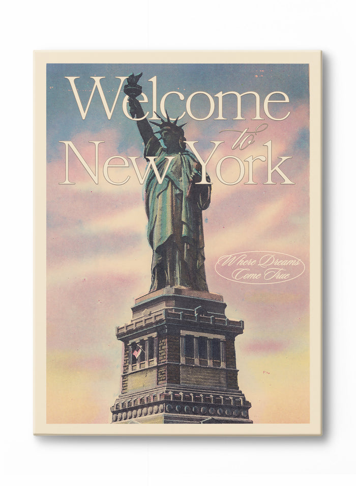Welcome to New York, Poster